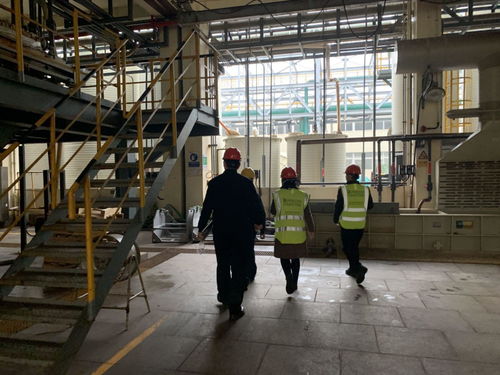 與安全同行，讓安全常駐 寶曼咨詢協(xié)助華友鈷業(yè)開展現(xiàn)場(chǎng)EHS管理現(xiàn)狀調(diào)研